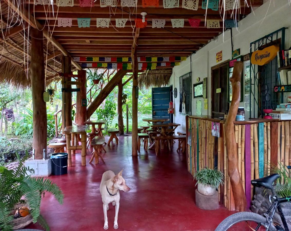 La Urraca Loca Hostel Balgue Eksteriør billede